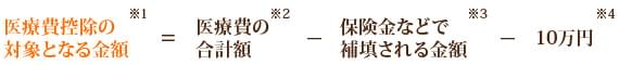 医療費控除の計算式